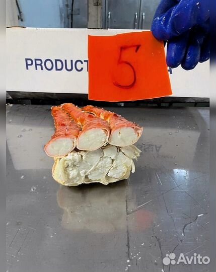 Конечности краба стригуна