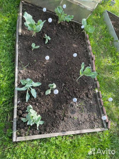 Чернозем в любом объеме по доступным ценам