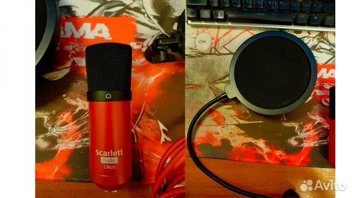 Микрофон и паук