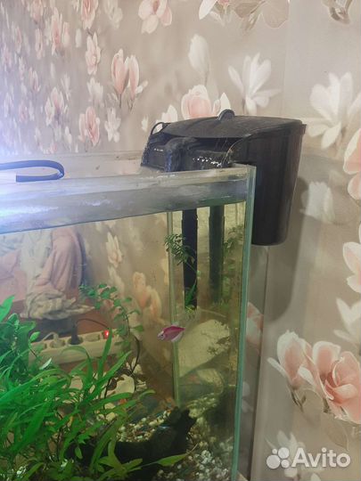 Аквариум