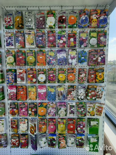 Семена для рассады