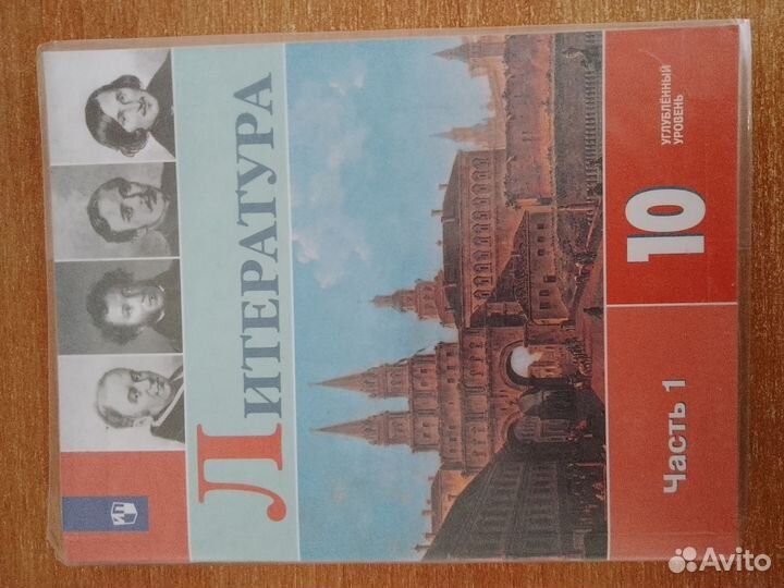Литература 10 класс коровин