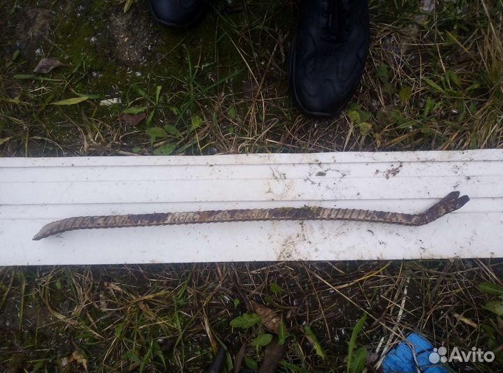 Монтировка