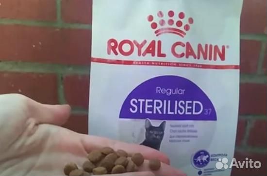 Royal Canin сухой корм для кошек. В наличии Корм д