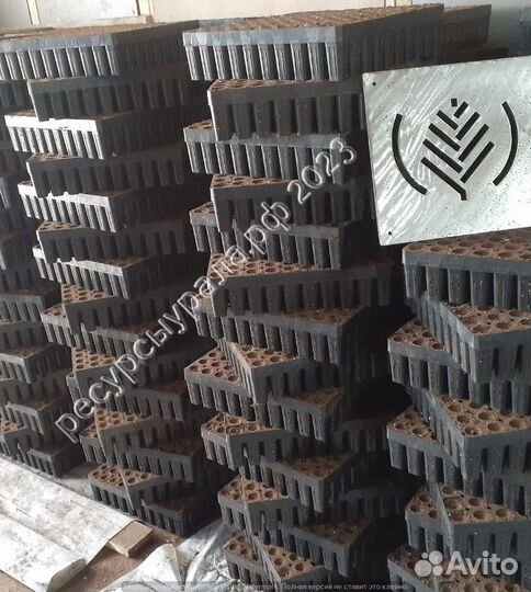 Зкс сосна сеянцы ель обыкновенная