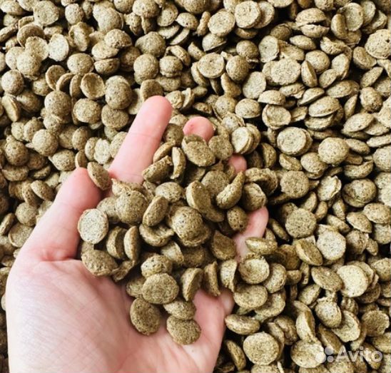 Котогава сухой корм для собак на рыбе, 10 кг