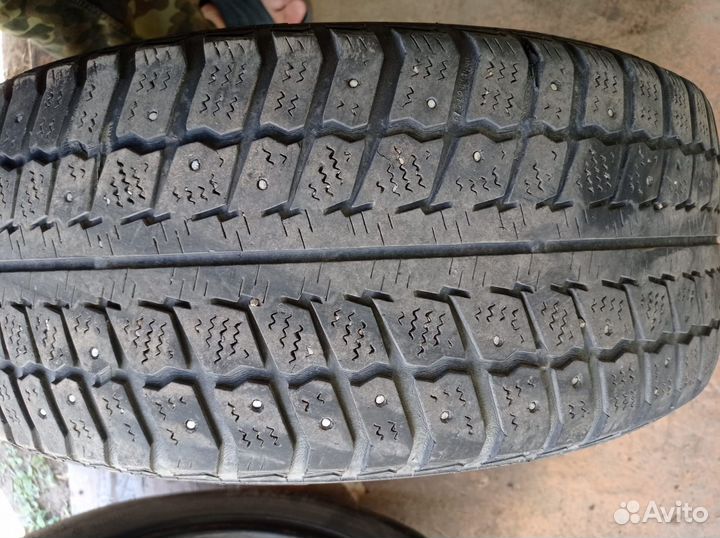 Barum Norpolaris 205/55 R16