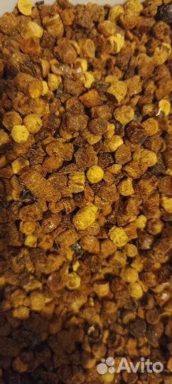 Перга пчелиная