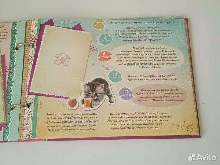 Альбом для твоего котенка