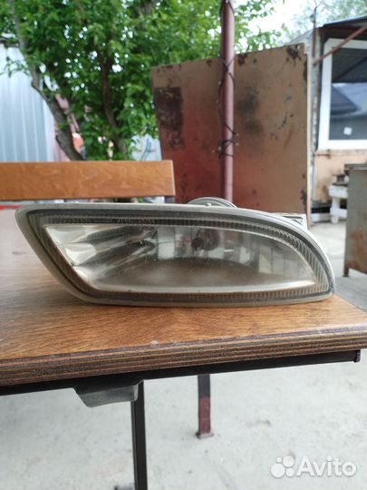 Противотуманка