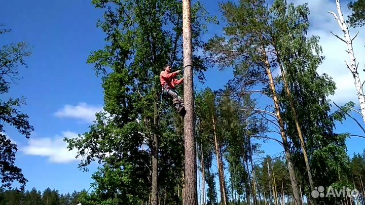 Гаффы для лазанья по дереву
