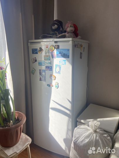 Морозильная камера бирюса бу