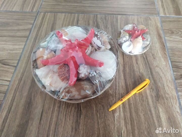 Наборы ракушек