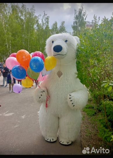 Поздравим в костюме белого медведя