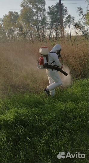 Обработка от клещей (акарицидная обработка)