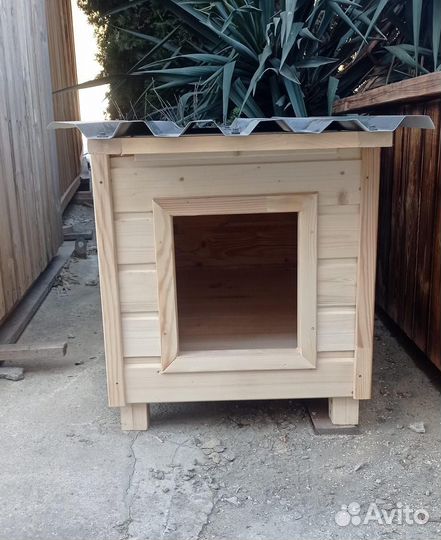 Собачья будка