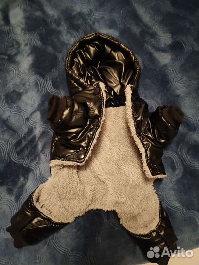 Одежда для маленьких собак