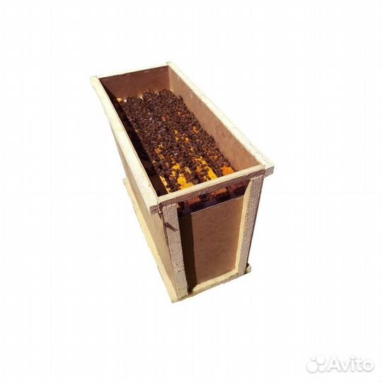 Пчело пакеты