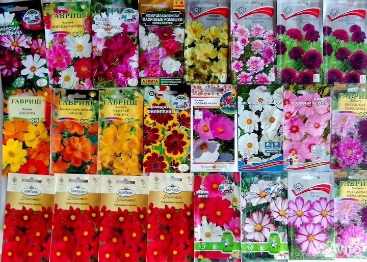 Рассада разная в стаканчиках