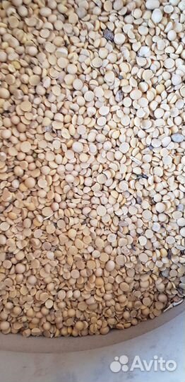 Соя дробленная