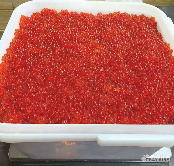 Красная икра кеты, улов 2023 года