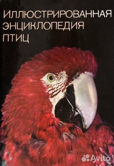 Иллюстрированные энциклопедии животных, рыб и птиц