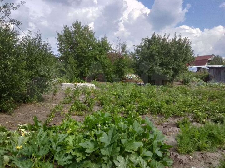 Участок 5 сот. (СНТ, ДНП)