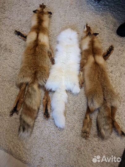 Шкуры лисы и песца (чулок)
