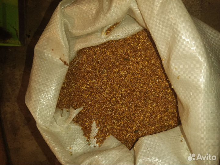 Комбикорм для сх птицы в Незнамово