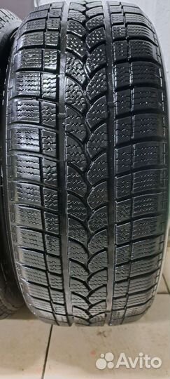 Taurus 601 Winter 225/55 R17 101V