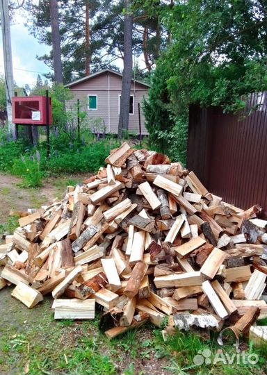 Дрова Береза