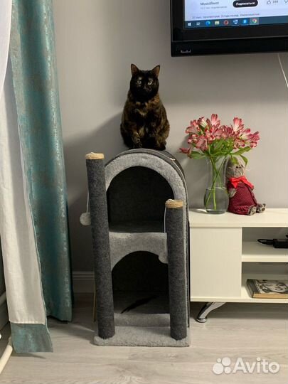 Когтеточка домик для нескольких кошек