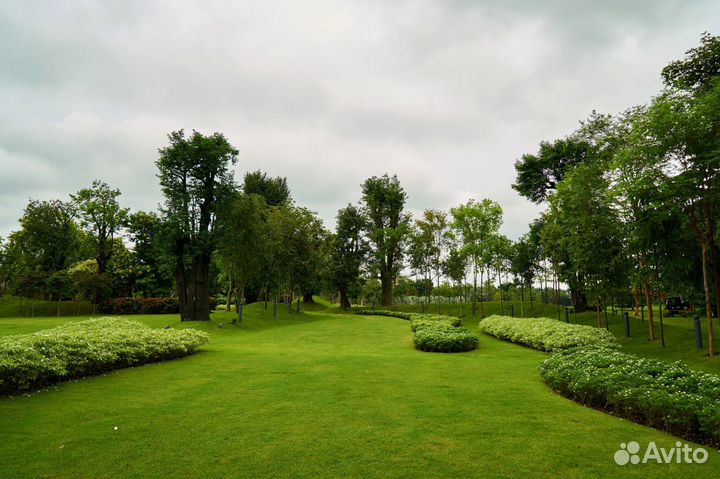 Укладка рулонного газона под ключ, производитель