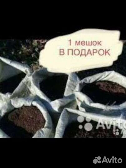 Перегной в мешках с доставкой