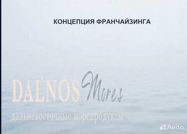 Упаковка бизнеса во франшизу / Бизнес план