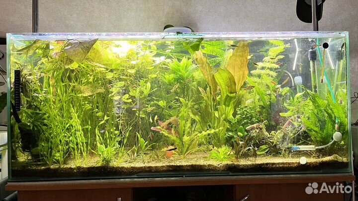 Аквариум 300 литров