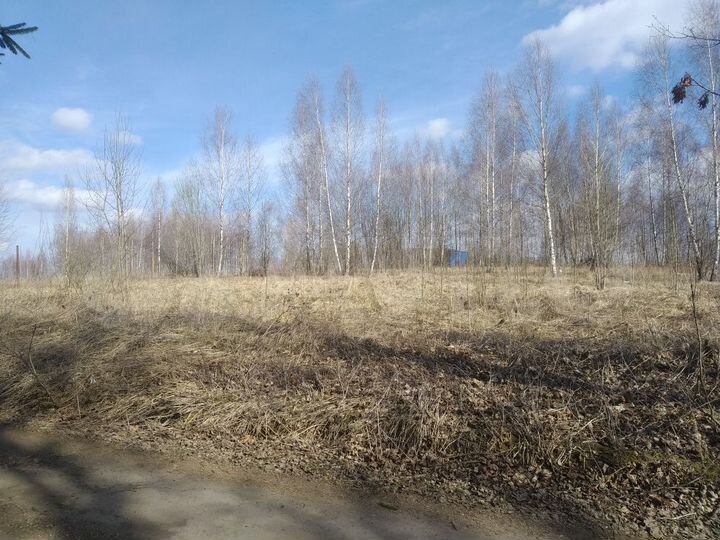 Участок 30 сот. (ИЖС)