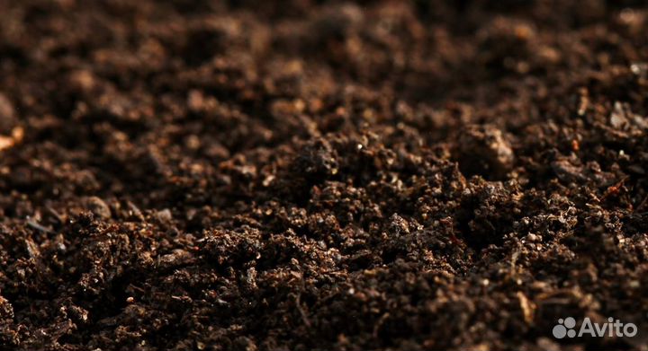 Земля плодородная