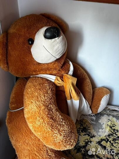 Большие плюшевые медведи