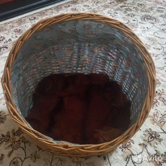 Лежанка для кошек