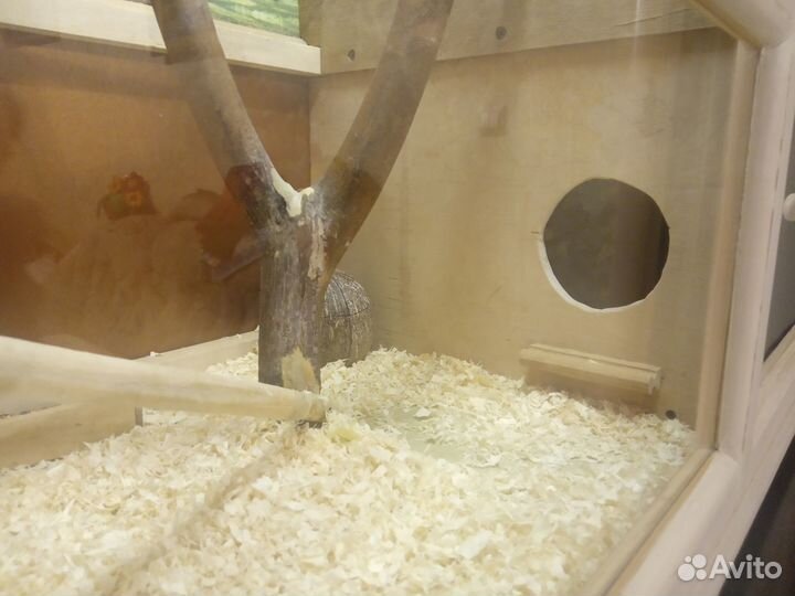 Клетка большая ручной работы+подсветка