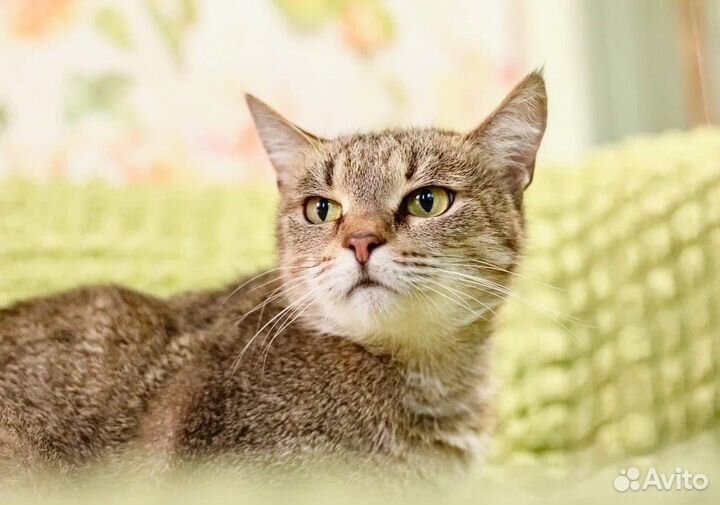 Мишель - ласковая девочка