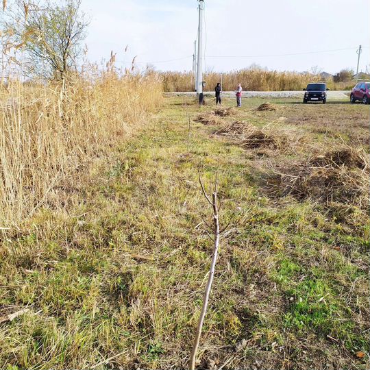 Участок 40 сот. (СНТ, ДНП)