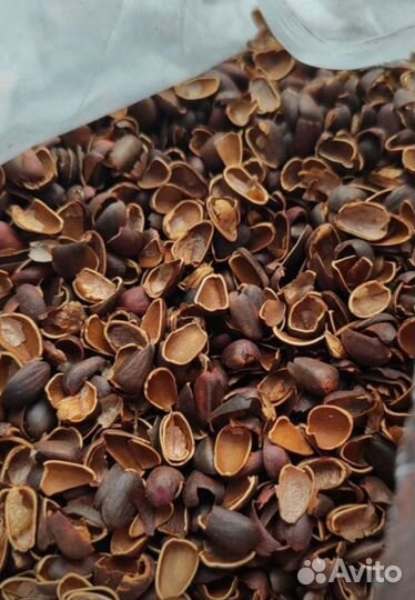 Скорлупа от кедровых орешек