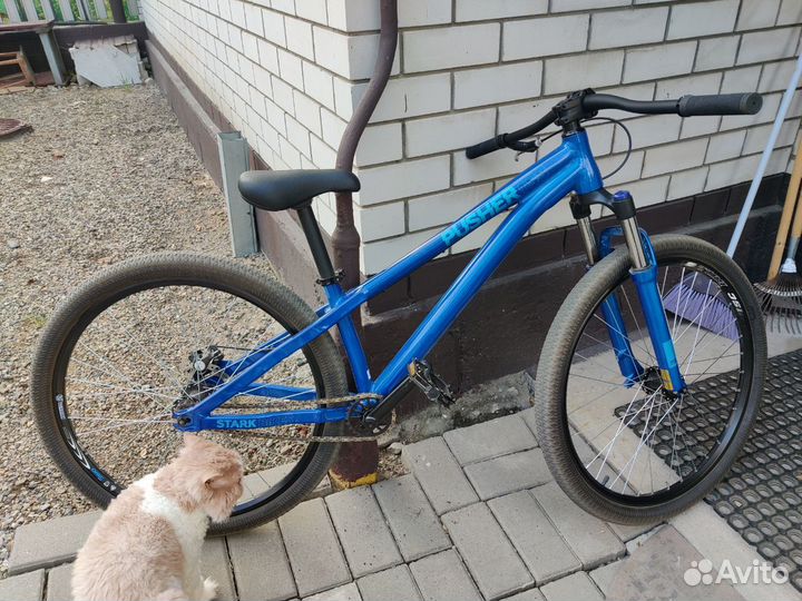 Stark Pusher Single Speed (2020)