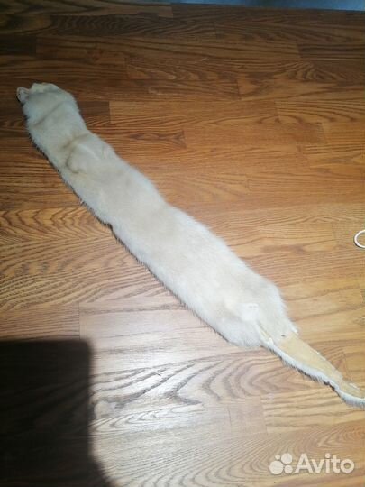 Шкурки меха норки