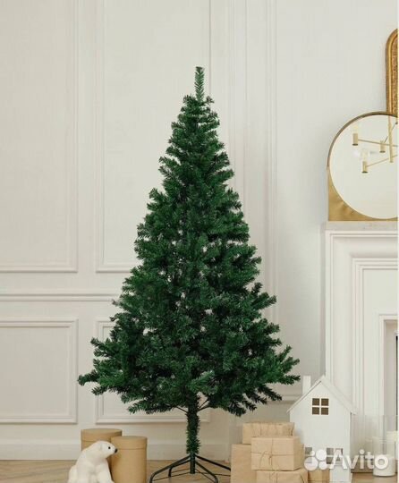 Ель классическая / Доставка