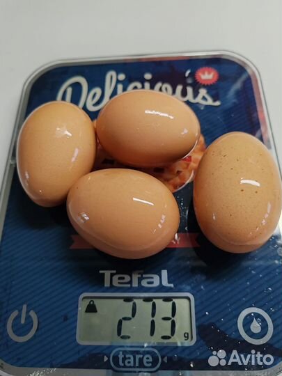 Яйцо куриное столовое