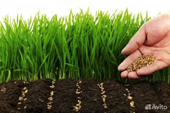 Грунт растительный