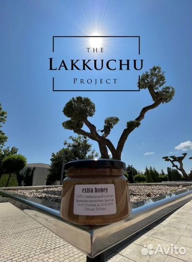 Чудо-мед для мужчин